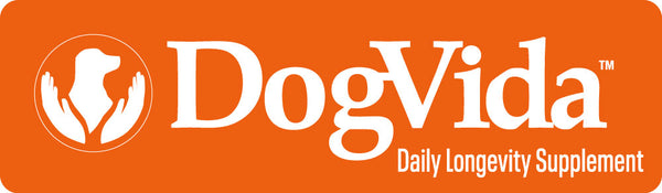 DogVida 